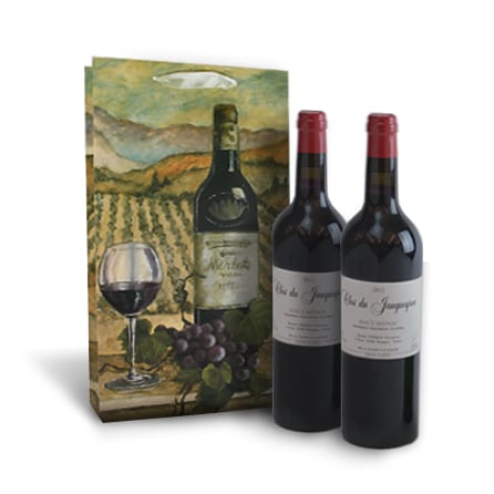2 bottle wine gift bag